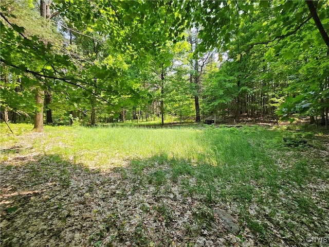 0 S Bonaparte Rd, Diana, NY 13648 - photo 2