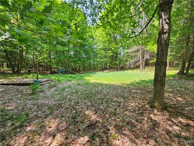 0 S Bonaparte Rd, Diana, NY 13648 - photo 3