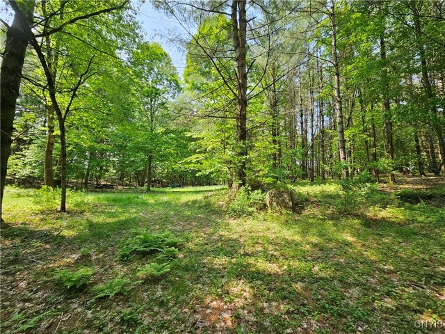 0 S Bonaparte Rd, Diana, NY 13648 - photo 4