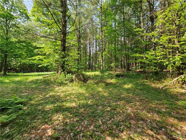 0 S Bonaparte Rd, Diana, NY 13648 - photo 5