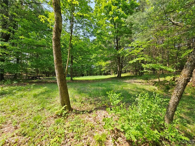 0 S Bonaparte Rd, Diana, NY 13648 - photo 6