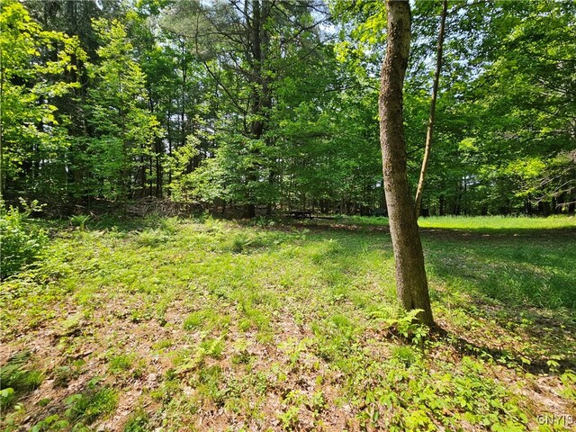 0 S Bonaparte Rd, Diana, NY 13648 - photo 7