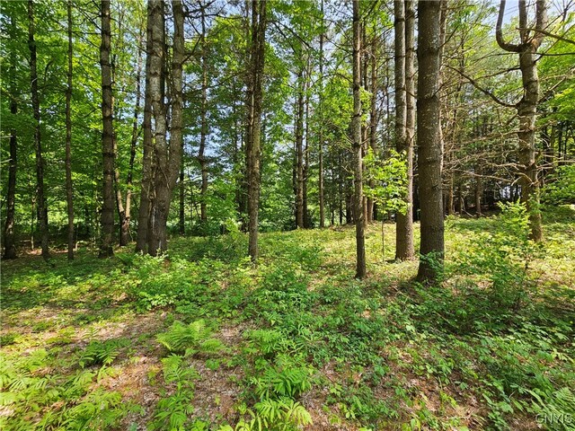 0 S Bonaparte Rd, Diana, NY 13648 - photo 8