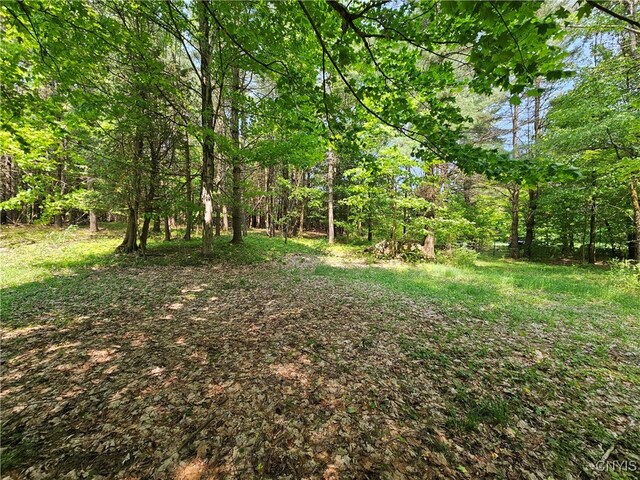 0 S Bonaparte Rd, Diana, NY 13648 - photo 9