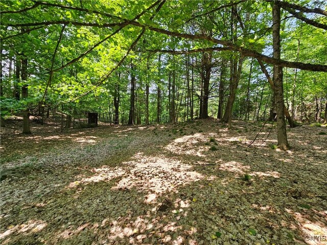 0 S Bonaparte Rd, Diana, NY 13648 - photo 10