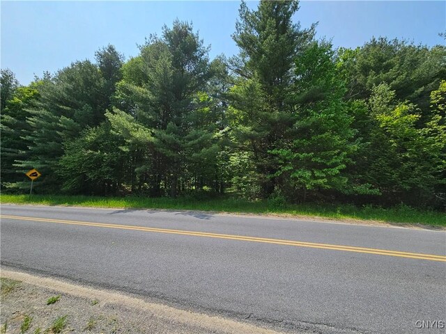 0 S Bonaparte Rd, Diana, NY 13648 - photo 11