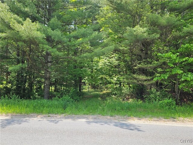 0 S Bonaparte Rd, Diana, NY 13648 - photo 12