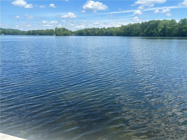 7398 Palmer Rd Unit 7396, Preble, NY 13159