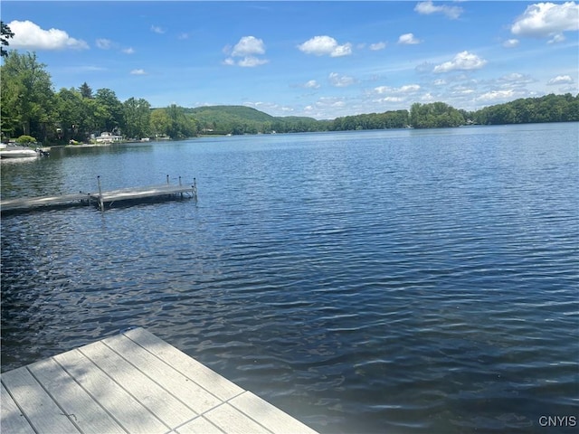 7398 Palmer Rd Unit 7396, Preble, NY 13159
