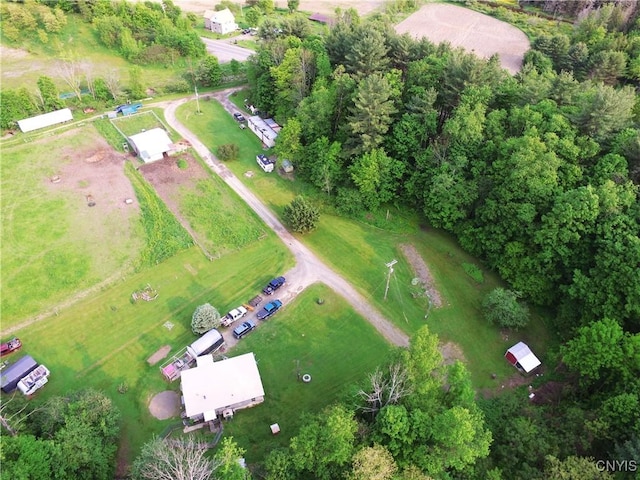 10175 State Route 79, Lisle, NY 13835 - photo 1