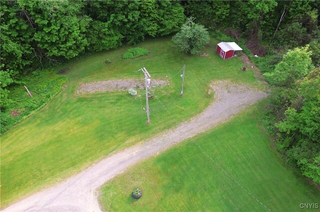 10175 State Route 79, Lisle, NY 13835 - photo 2
