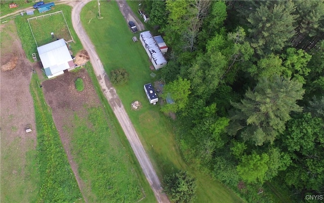10175 State Route 79, Lisle, NY 13835 - photo 4