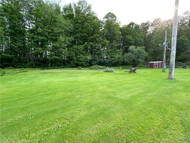 10175 State Route 79, Lisle, NY 13835 - photo 5