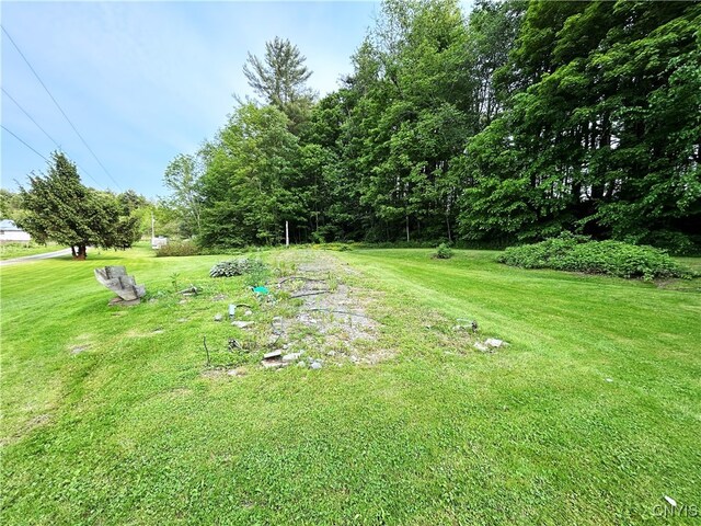 10175 State Route 79, Lisle, NY 13835 - photo 6