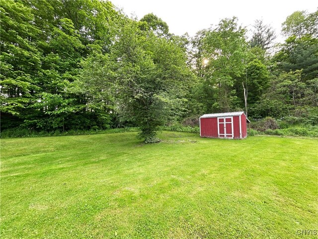 10175 State Route 79, Lisle, NY 13835 - photo 7