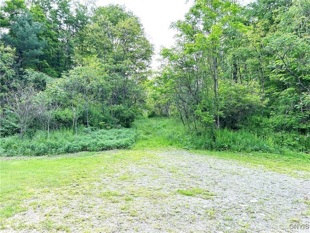 10175 State Route 79, Lisle, NY 13835 - photo 8