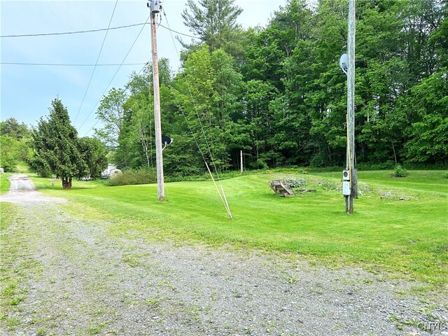 10175 State Route 79, Lisle, NY 13835 - photo 10