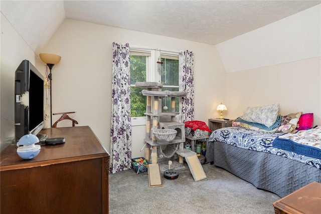 2703 Lembke Rd, Arcadia, NY 14489 - carpeted bedroom featuring lofted ceiling