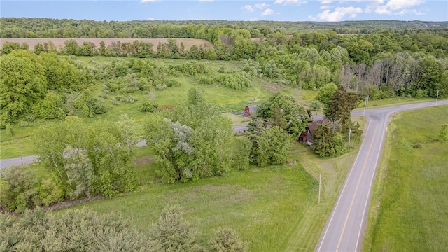 2703 Lembke Rd, Arcadia, NY 14489 - aerial view of a forest