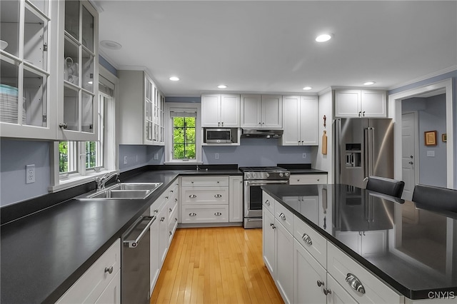 11 S Meadow Dr, Orchard Park, NY 14127 - kitchen featuring stainless steel appliances, under cabinet range hood, dark countertops, light wood finished floors, and white cabinetry