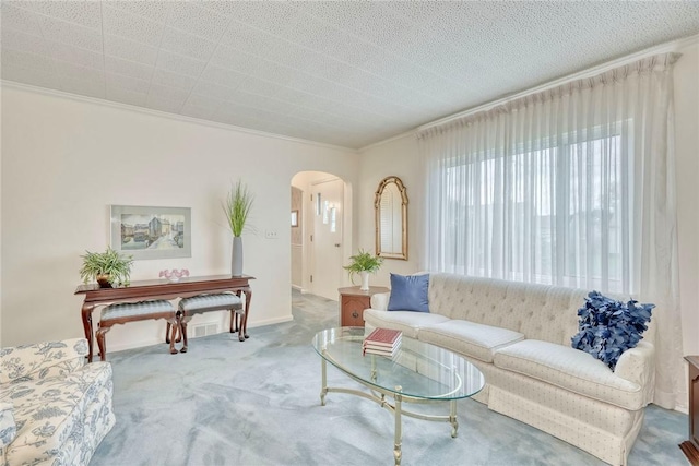 261 Hager Rd, Greece, NY 14616 - living room with arched walkways, crown molding, and carpet