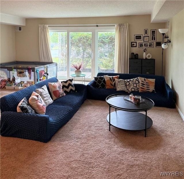 4547 Chestnut Ridge Rd Unit 104B, Amherst, NY 14228 - view of carpeted living area