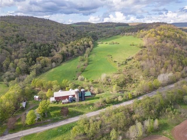 52521 State Highway 10, Kortright, NY 13739 - photo 6