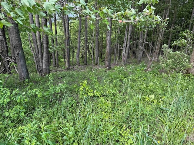 Grote Rd, Concord, NY 14141