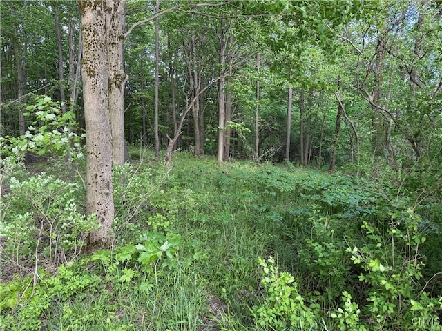 Grote Rd, Concord, NY 14141