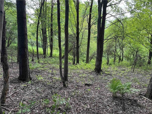 Grote Rd, Concord, NY 14141