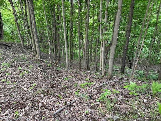 Grote Rd, Concord, NY 14141