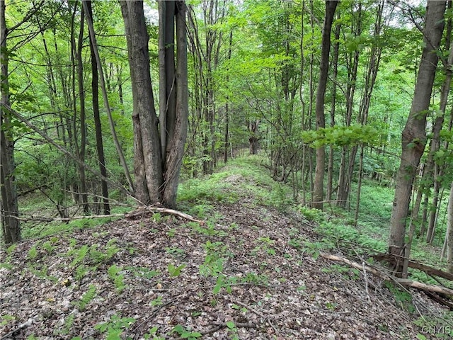 Grote Rd, Concord, NY 14141