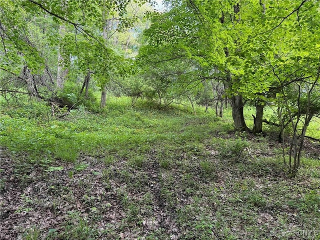 Grote Rd, Concord, NY 14141