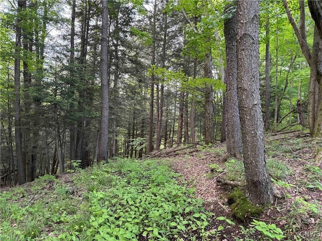 Grote Rd, Concord, NY 14141