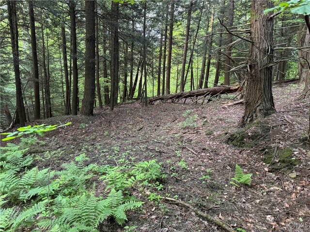 Grote Rd, Concord, NY 14141