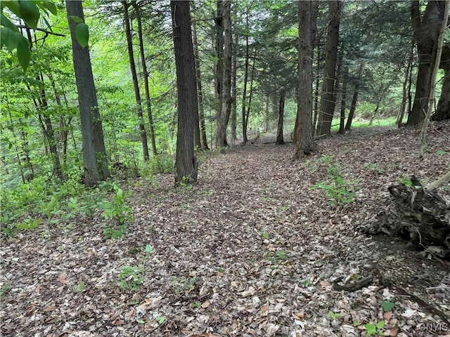 Grote Rd, Concord, NY 14141