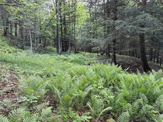 Grote Rd, Concord, NY 14141