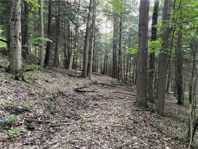 Grote Rd, Concord, NY 14141