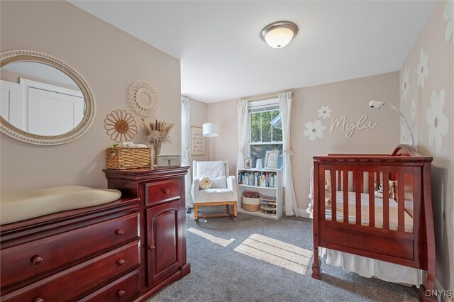 210 N Hoopes Ave, Auburn, NY 13021 - photo 23