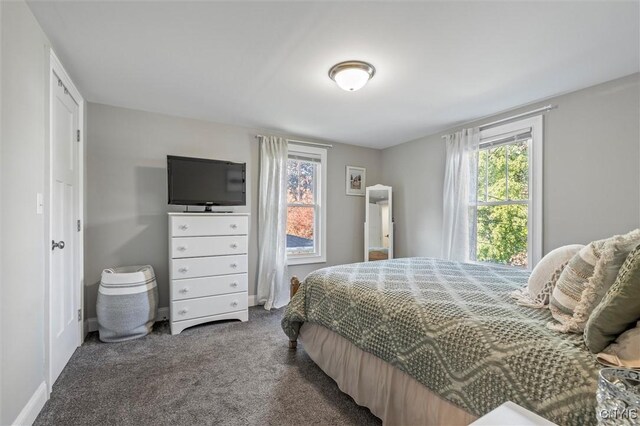 210 N Hoopes Ave, Auburn, NY 13021 - photo 26