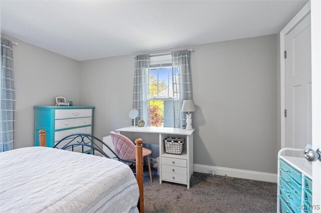 210 N Hoopes Ave, Auburn, NY 13021 - photo 28