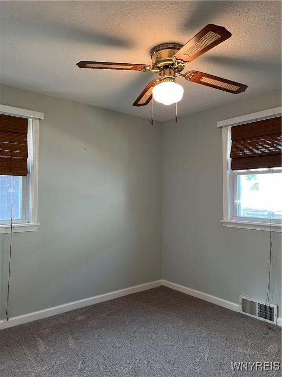 118 Erie St, Lancaster, NY 14086 - unfurnished room featuring healthy amount of natural light and dark colored carpet
