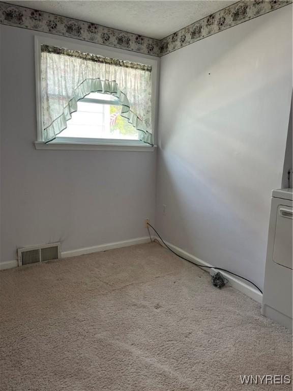 118 Erie St, Lancaster, NY 14086 - empty room featuring carpet, a textured ceiling, baseboards, and washer / dryer