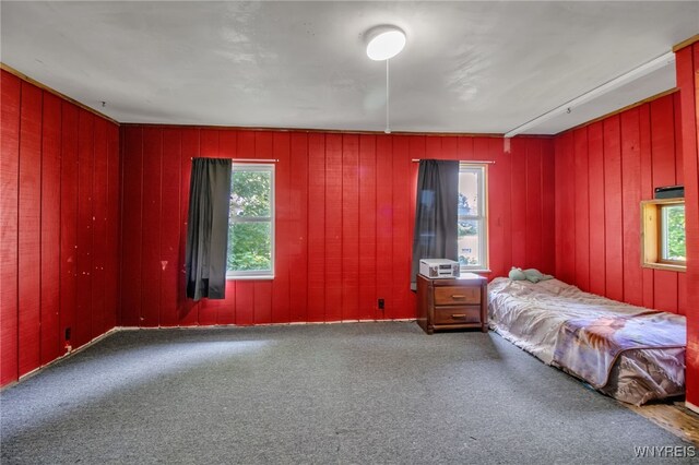 6305 E Main St, Byron, NY 14557 - bedroom featuring carpet flooring and wooden walls