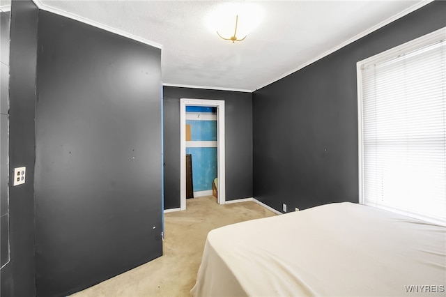 6305 E Main St, Byron, NY 14557 - bedroom with light colored carpet, ornamental molding, and baseboards