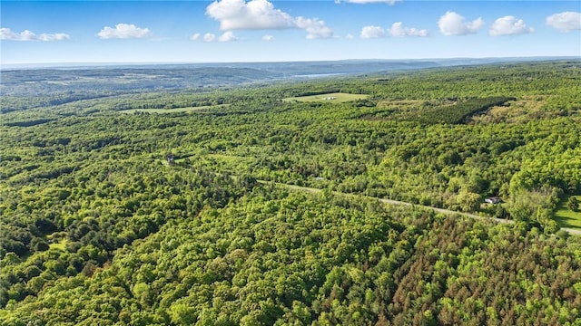 W Sherman Hollow Rd, Jerusalem, NY 14418