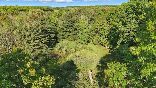 W Sherman Hollow Rd, Jerusalem, NY 14418