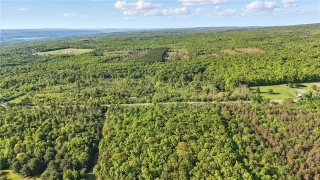 W Sherman Hollow Rd, Jerusalem, NY 14418