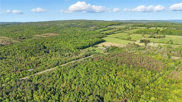 W Sherman Hollow Rd, Jerusalem, NY 14418