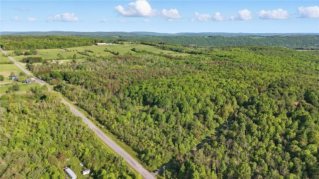 W Sherman Hollow Rd, Jerusalem, NY 14418